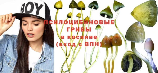 MESCALINE Белоозёрский